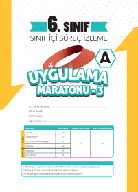 6. SINIF KURUMSAL DENEME 3A